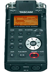 tascam dr-100